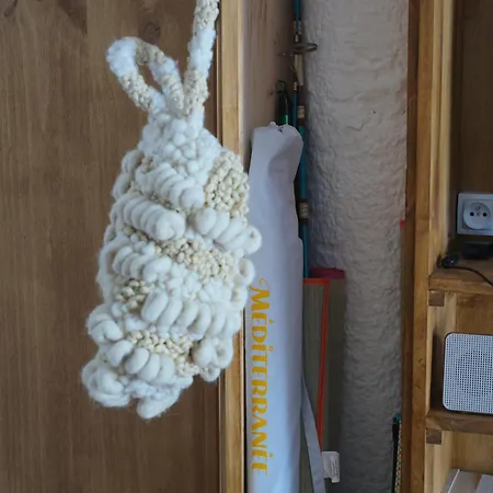 Front De - Climatise Classe 2 Etoiles Avec Jardin *