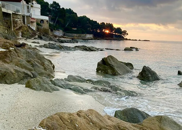 Front De - Climatise Classe 2 Etoiles Avec Jardin Le Lavandou