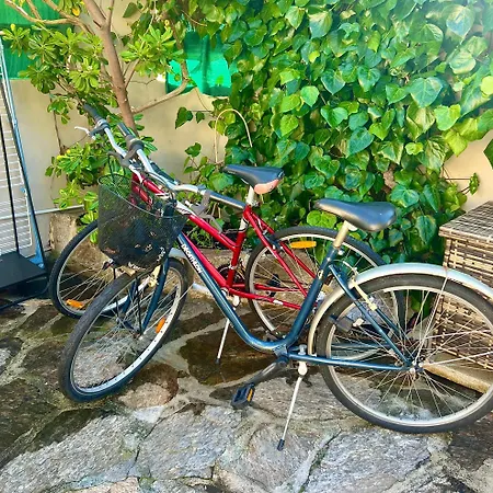 Unique Front De Climatise Et Jardin Διαμέρισμα Le Lavandou