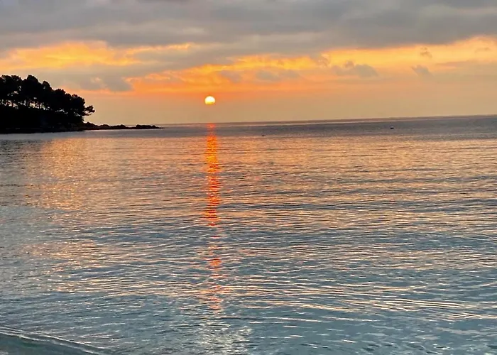 Résidence Front De - Climatisé Classé 2 étoiles Avec Jardin