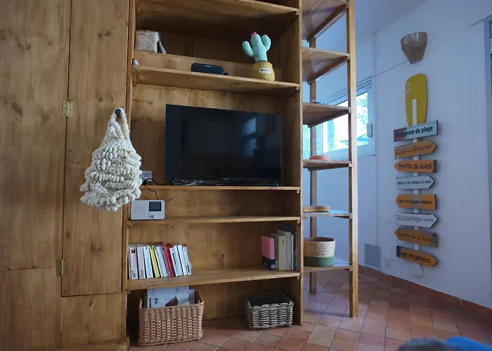 Front De - Climatise Classe 2 Etoiles Avec Jardin Apartman *