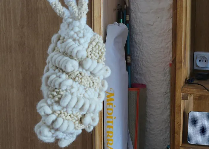 Front De - Climatise Classe 2 Etoiles Avec Jardin *